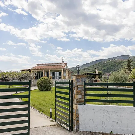 Zeusplace Crown Nyaraló